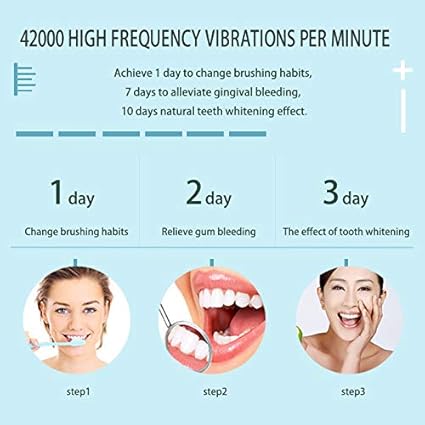 Escova de dentes elétrica sônica recarregável ideal para adultos e crianças, 6 modos opcionais, IPX7 USB, escova de dentes ultrassônica elétrica com temporizador embutido de 2 minutos