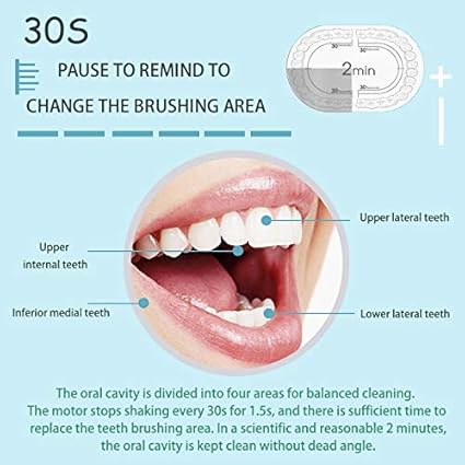 Escova de dentes elétrica sônica recarregável ideal para adultos e crianças, 6 modos opcionais, IPX7 USB, escova de dentes ultrassônica elétrica com temporizador embutido de 2 minutos